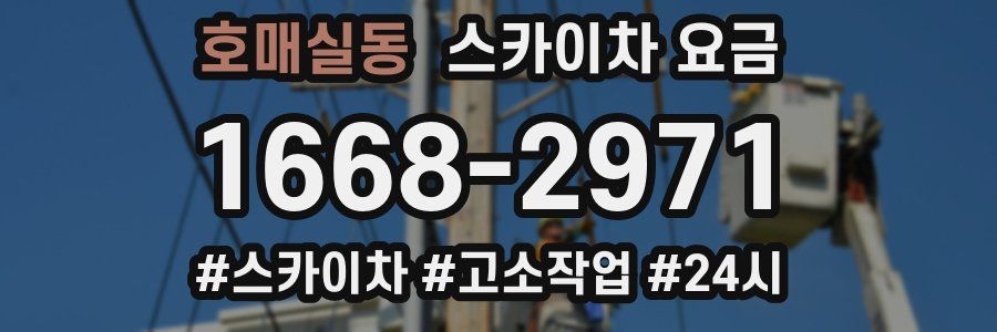 호매실동 스카이차 요금