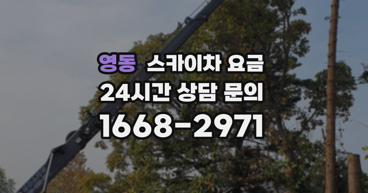 영동 스카이차 요금