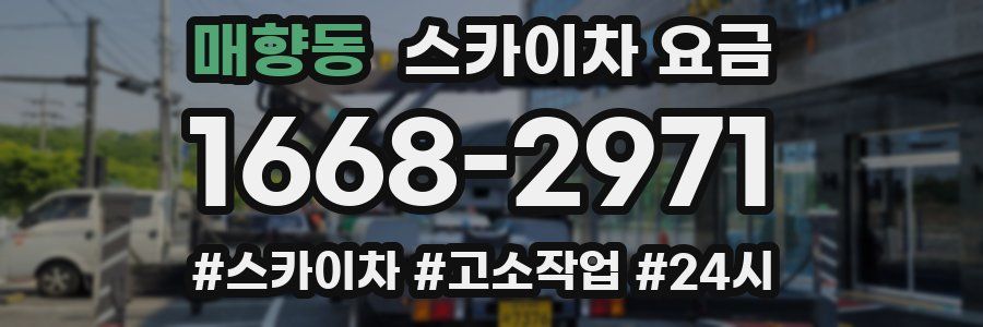 매향동 스카이차 요금