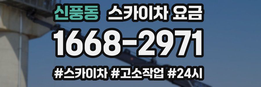 신풍동 스카이차 요금
