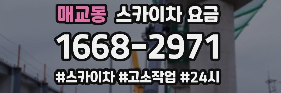 매교동 스카이차 요금