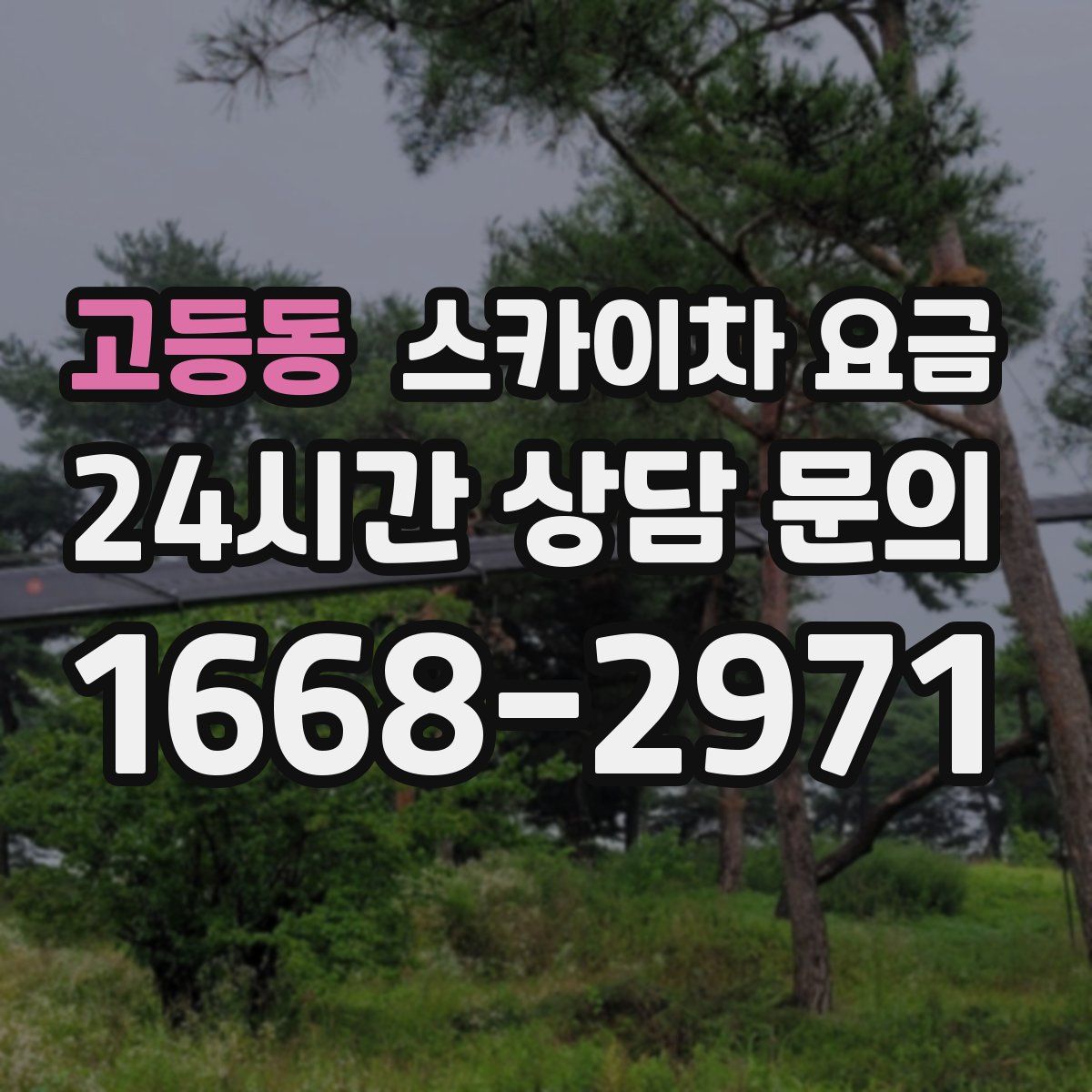 고등동 스카이차 요금