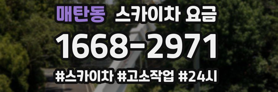 매탄동 스카이차 요금