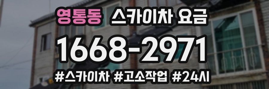 영통동 스카이차 요금