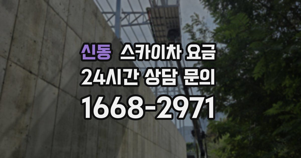 신동 스카이차 요금