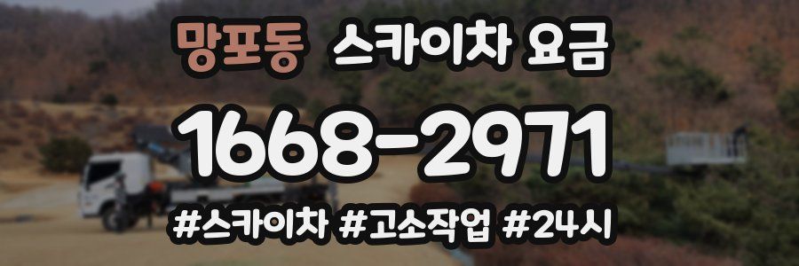 망포동 스카이차 요금
