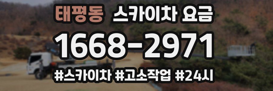 태평동 스카이차 요금