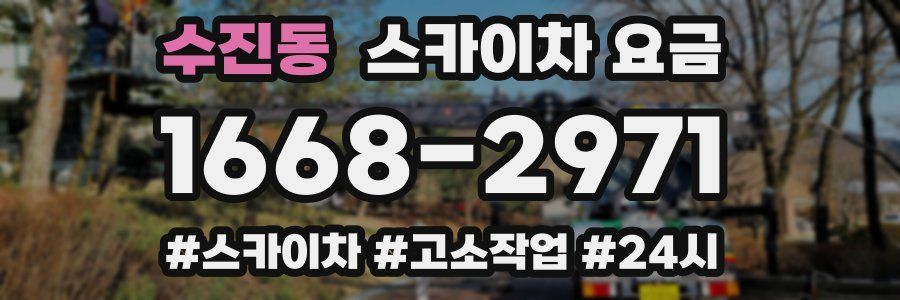 수진동 스카이차 요금