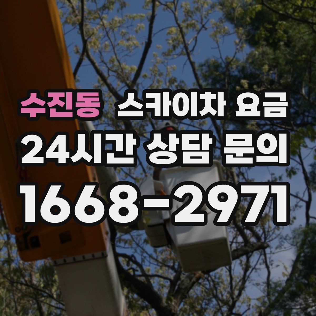 수진동 스카이차 요금