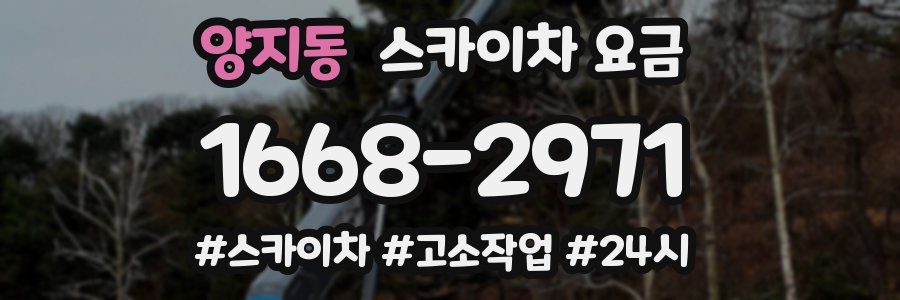 양지동 스카이차 요금
