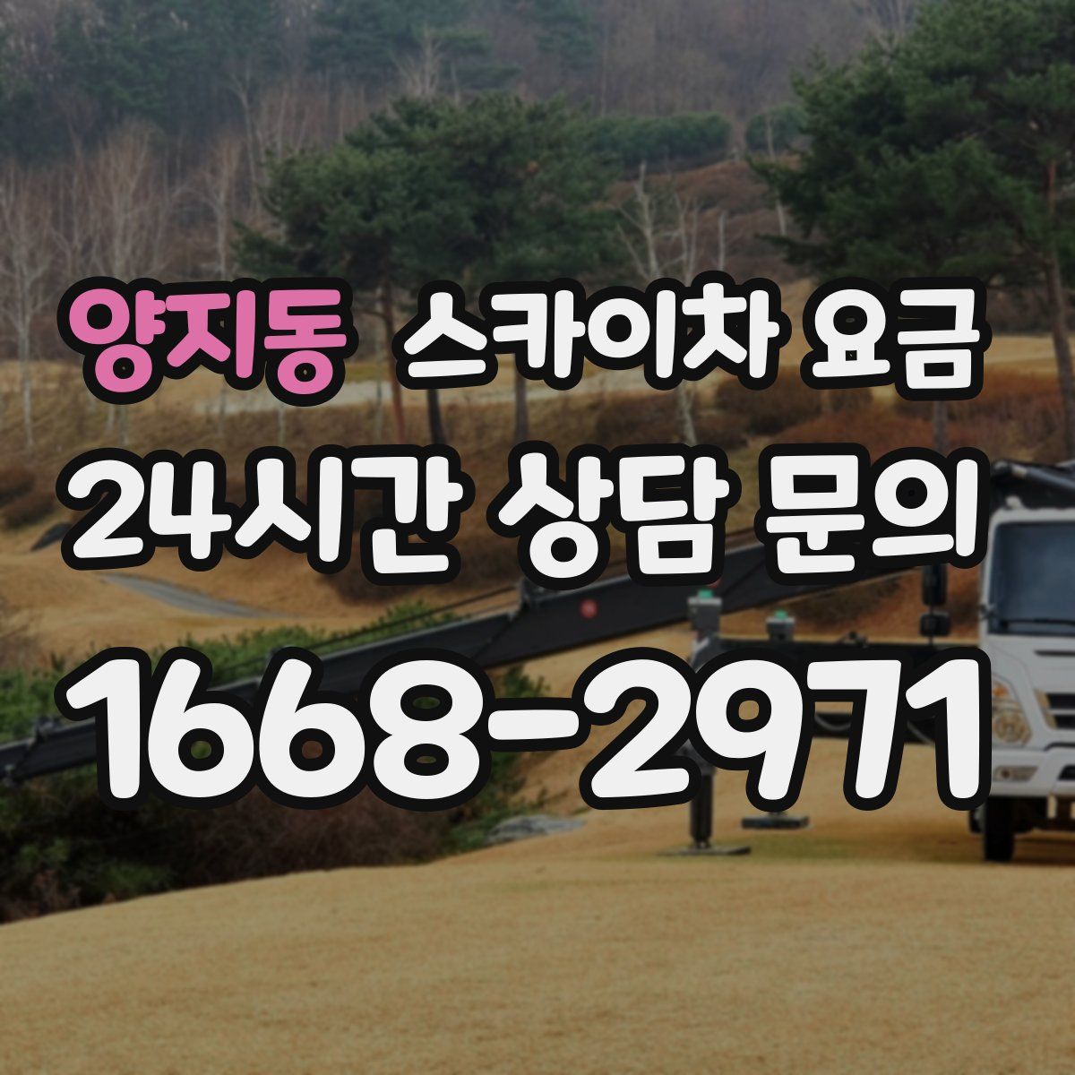 양지동 스카이차 요금
