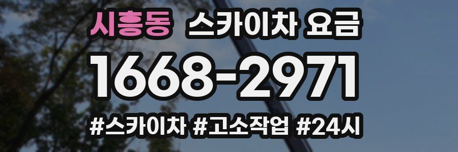 시흥동 스카이차 요금