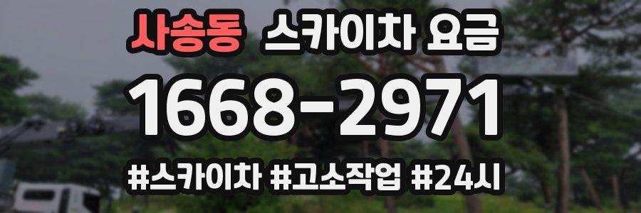 사송동 스카이차 요금