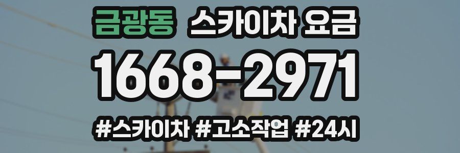 금광동 스카이차 요금
