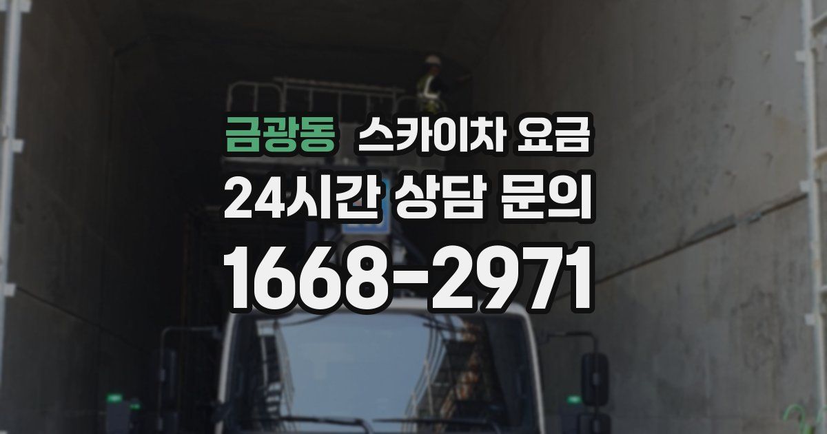 금광동 스카이차 요금