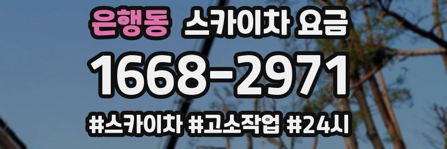 은행동 스카이차 요금