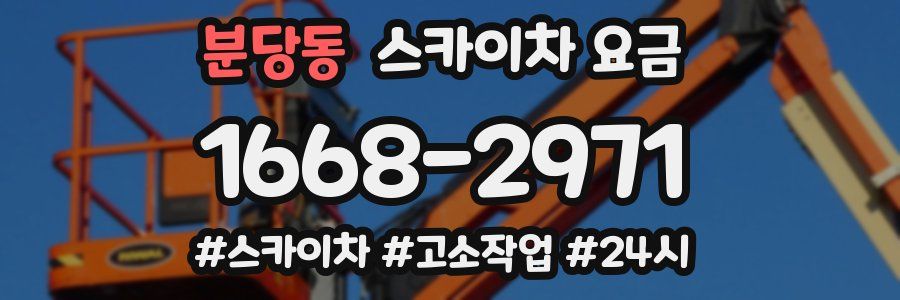 분당동 스카이차 요금