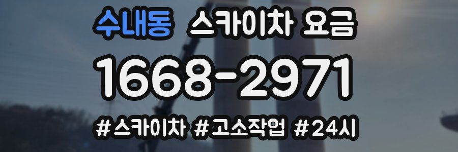 수내동 스카이차 요금