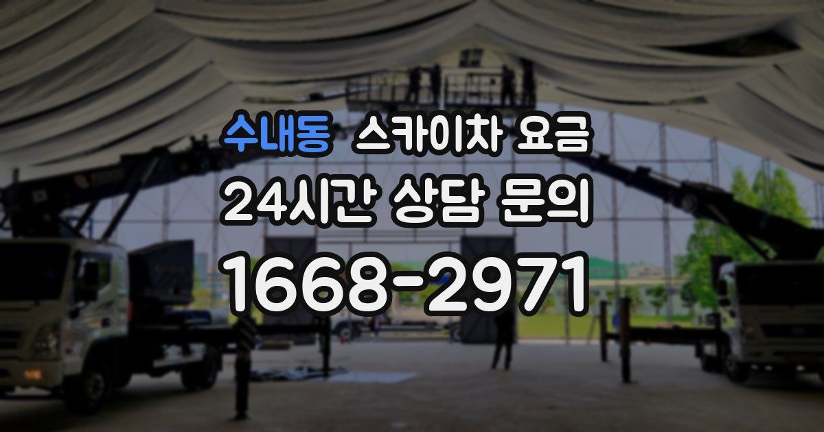 수내동 스카이차 요금
