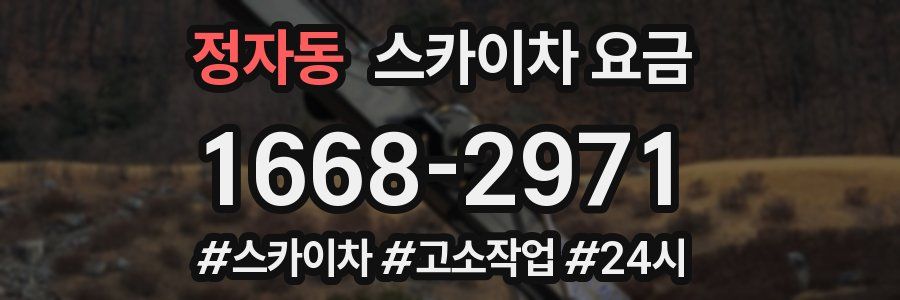 정자동 스카이차 요금