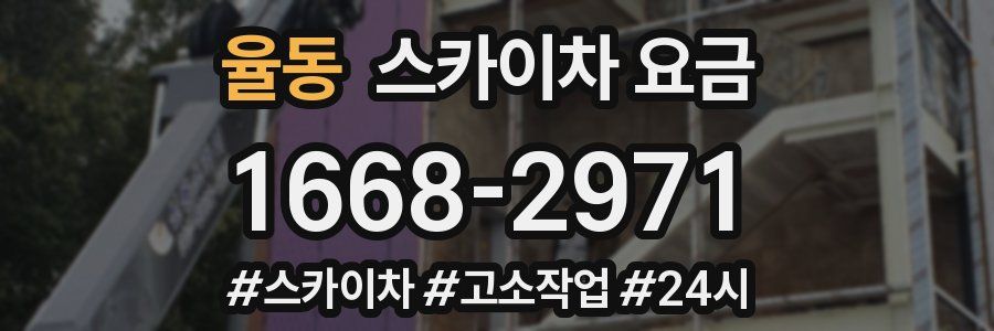 율동 스카이차 요금