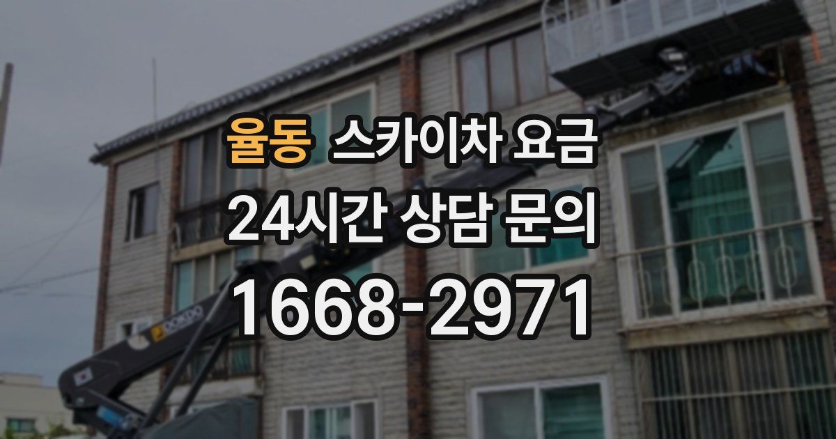 율동 스카이차 요금