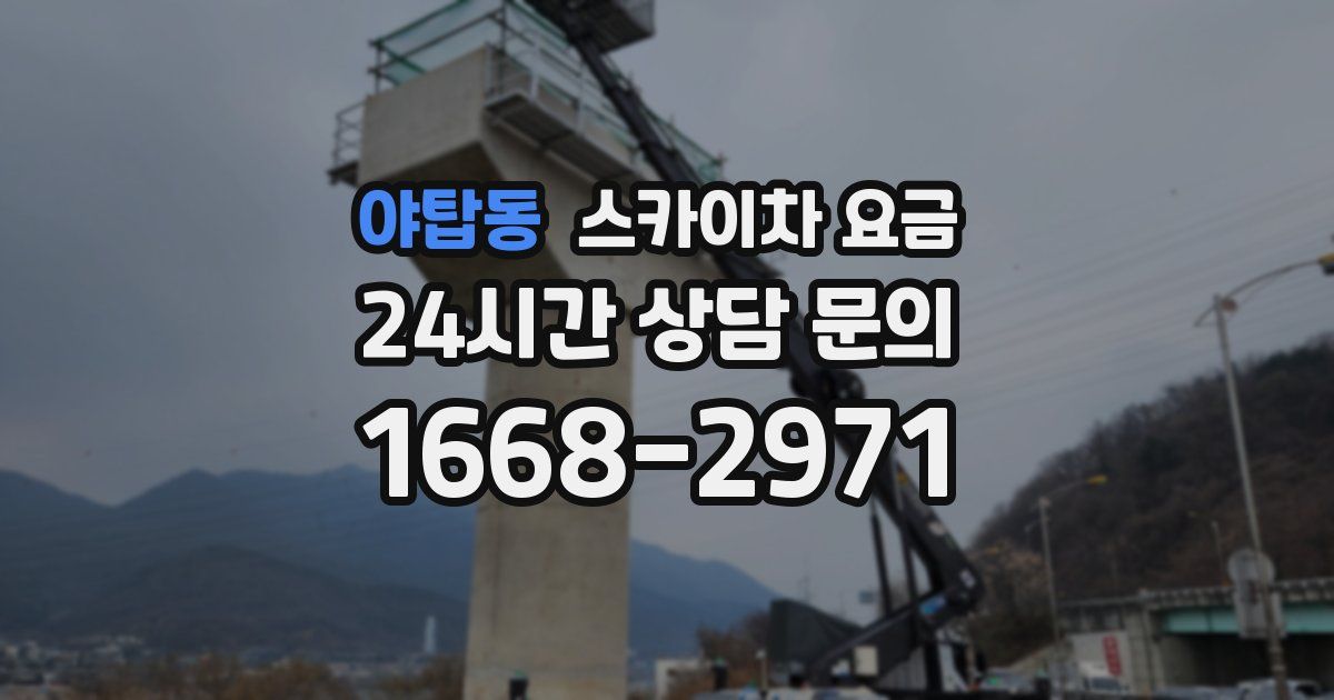 야탑동 스카이차 요금