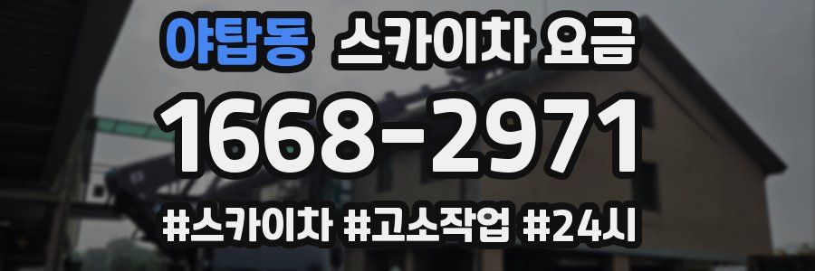야탑동 스카이차 요금