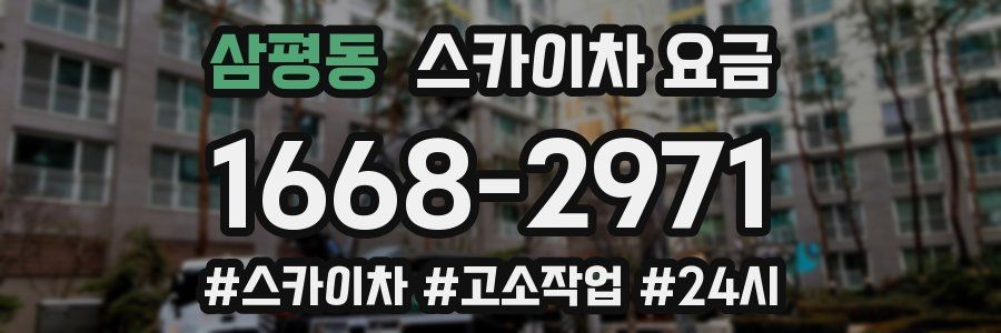 삼평동 스카이차 요금