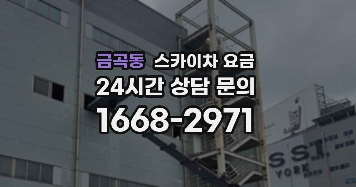 금곡동 스카이차 요금