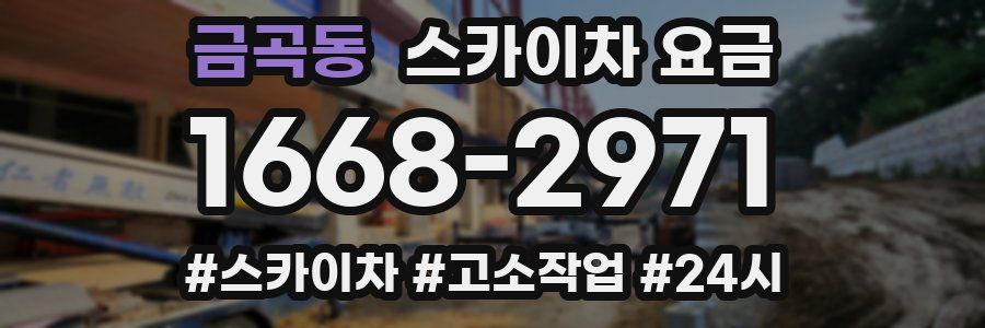 금곡동 스카이차 요금