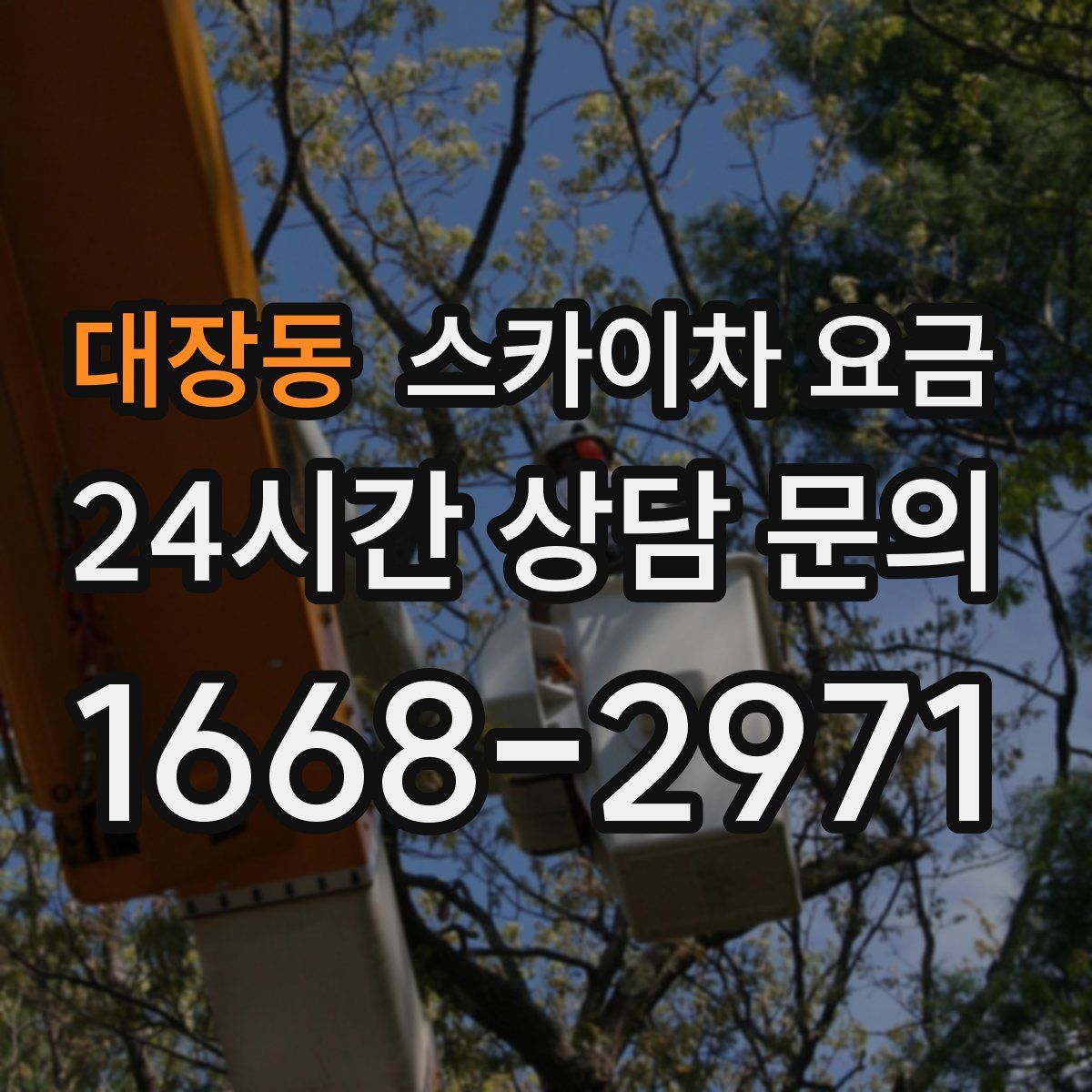 대장동 스카이차 요금