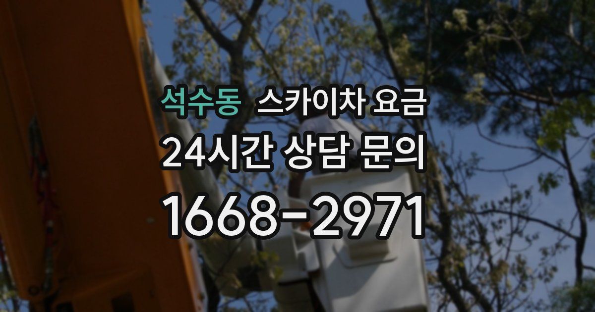 석수동 스카이차 요금