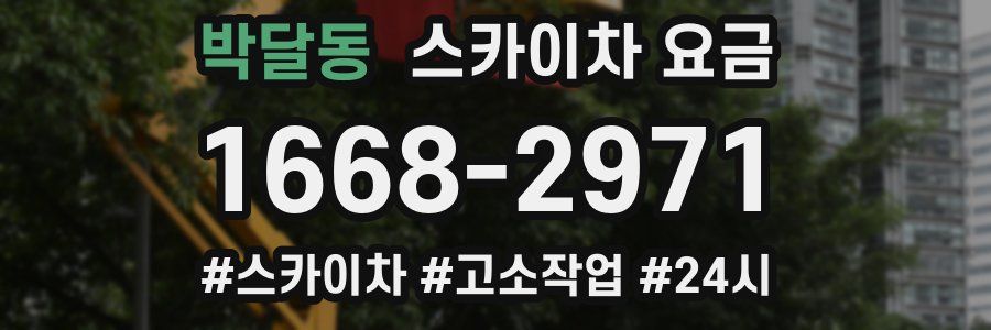 박달동 스카이차 요금