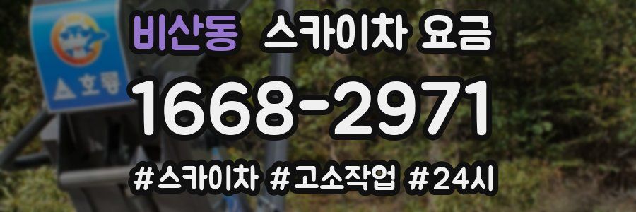 비산동 스카이차 요금