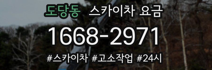 도당동 스카이차 요금
