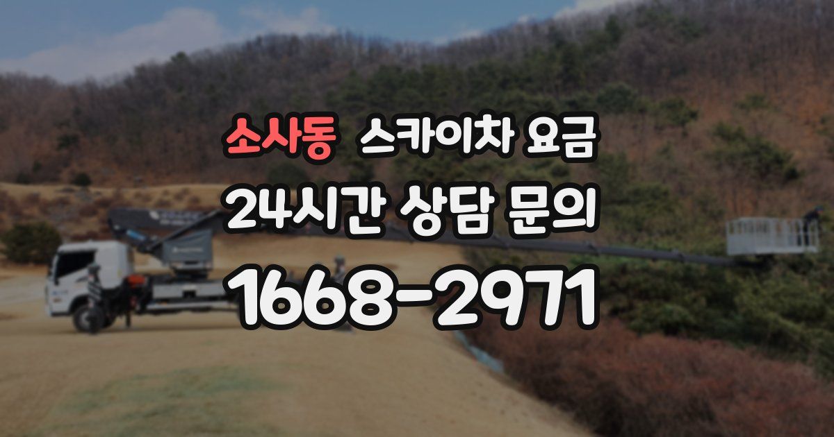 소사동 스카이차 요금