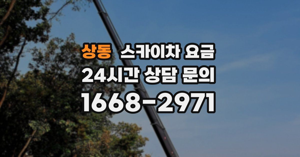 상동 스카이차 요금