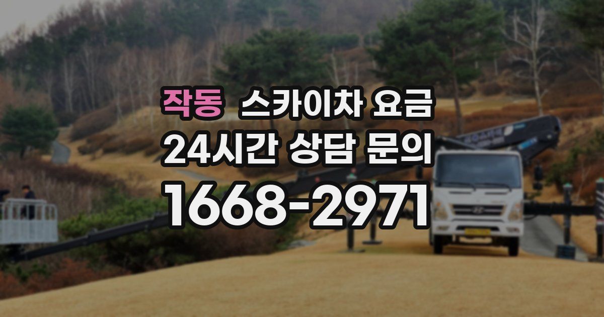 작동 스카이차 요금