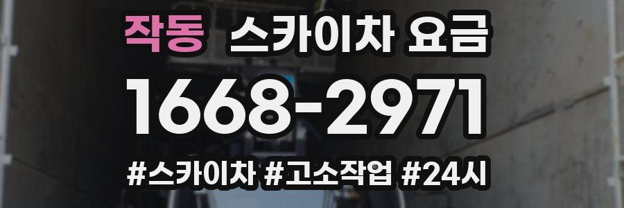 작동 스카이차 요금