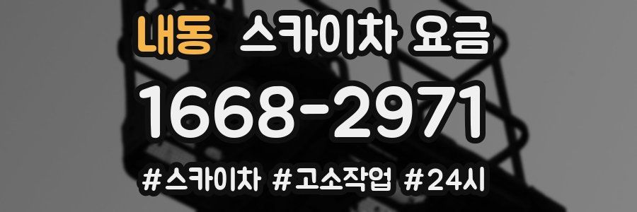 내동 스카이차 요금