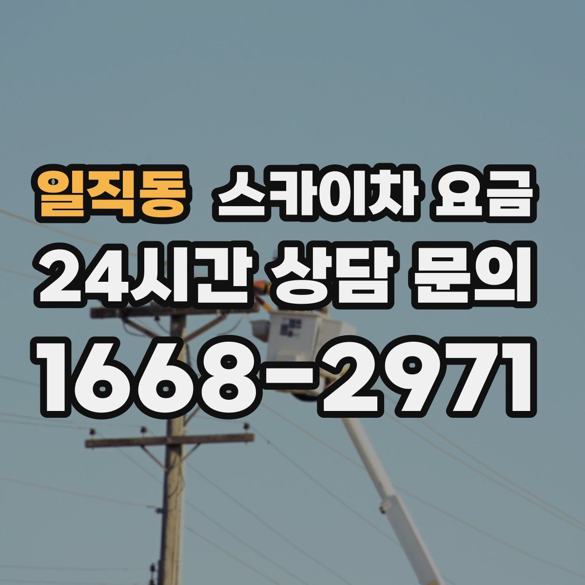 일직동 스카이차 요금