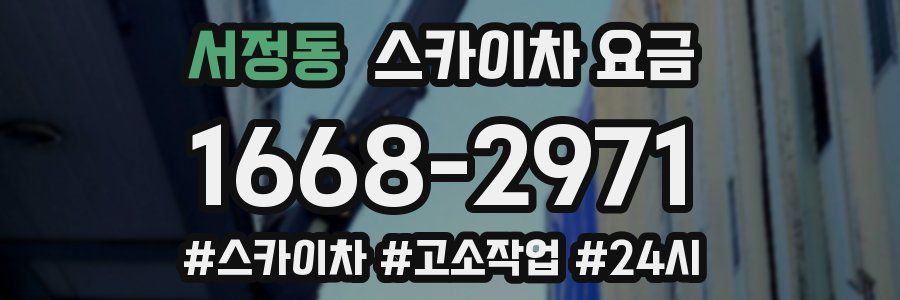서정동 스카이차 요금