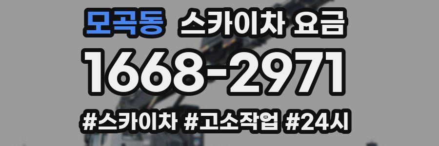 모곡동 스카이차 요금