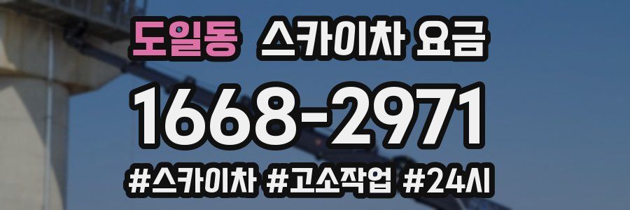 도일동 스카이차 요금