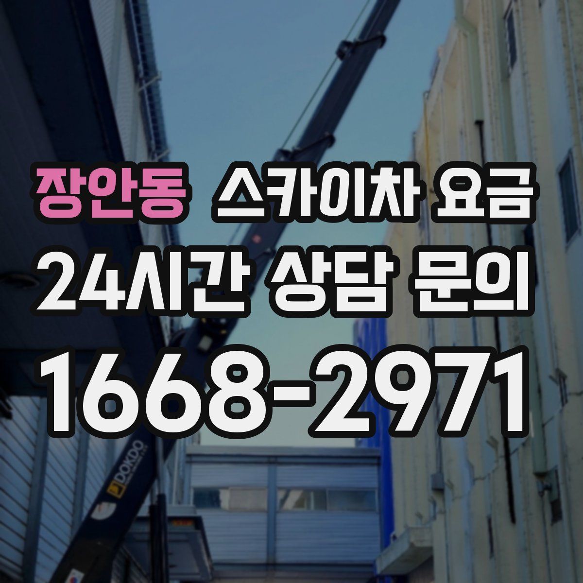 장안동 스카이차 요금