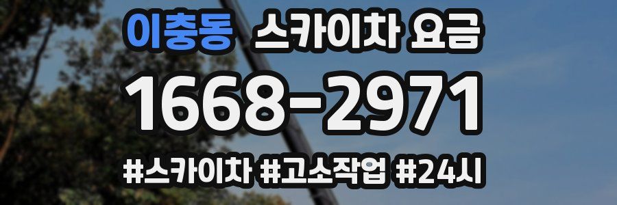 이충동 스카이차 요금