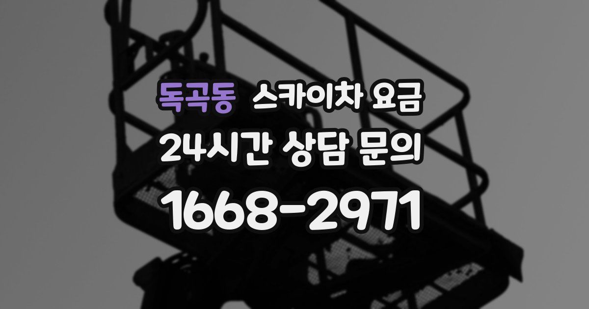 독곡동 스카이차 요금