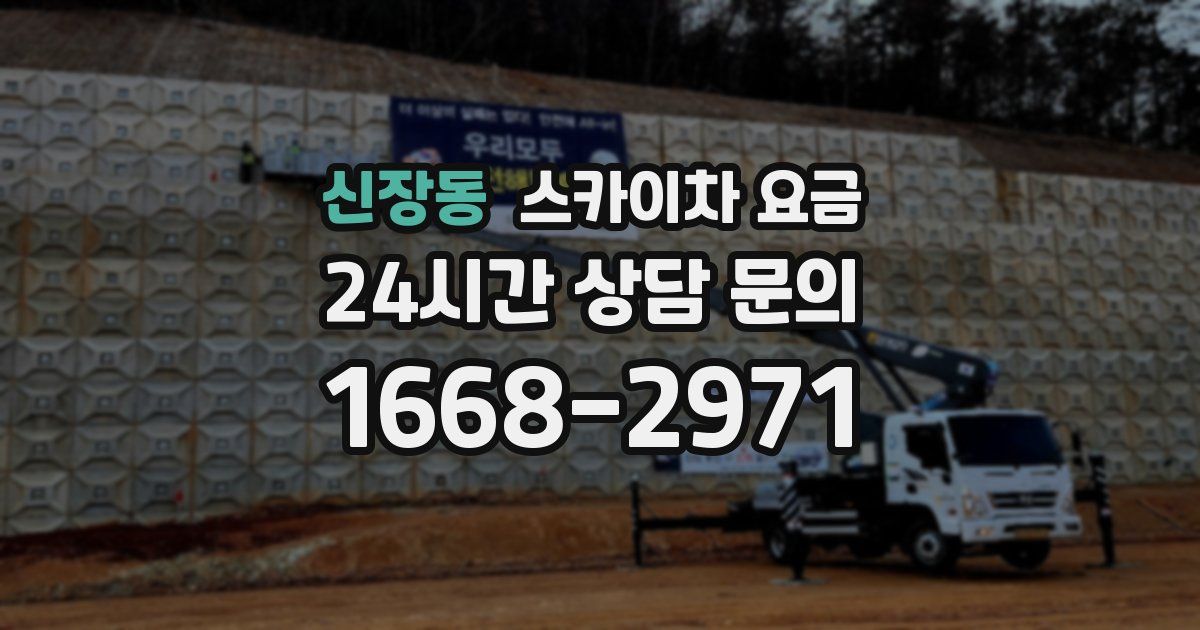 신장동 스카이차 요금