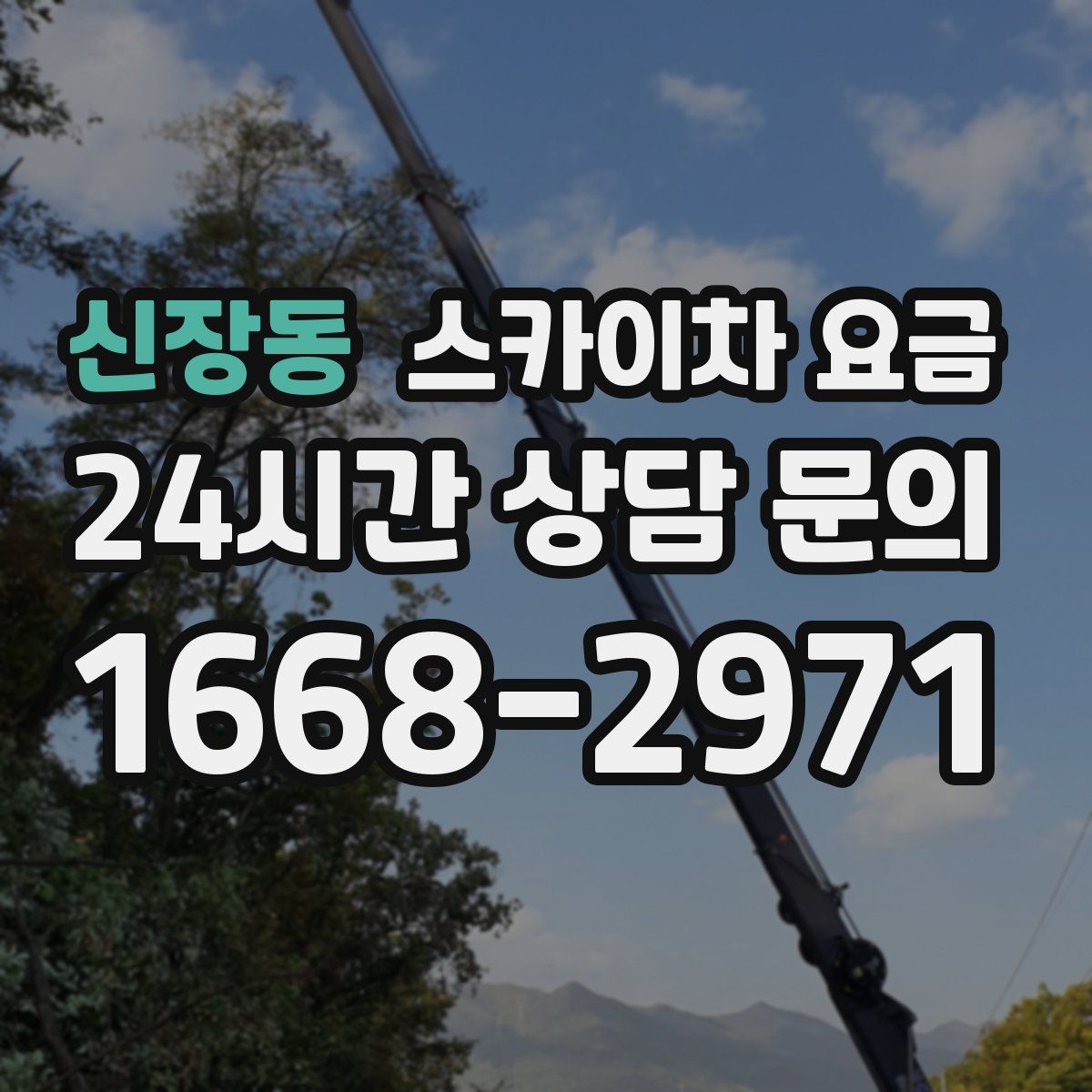 신장동 스카이차 요금
